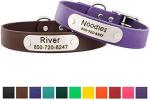 Personalized Waterproof Dog Collar with Nameplate