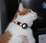 Reflective Cat Collars with AirTag Holders - 6 Pack