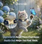 Custom Engraved Velvet Cat Collar with Bow Tie