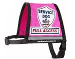Service Dog Vest with ID Badge and Patch