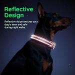 Durable Reflective Dog Collar with AirTag Holder