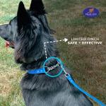 Pink Waterproof Martingale Dog Collar - No Pull