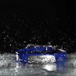 Personalized Waterproof Dog Collar with Nameplate