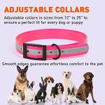 Reflective Waterproof Biothane Dog Collar - Pink