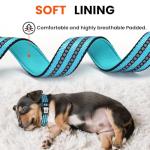 Personalized Reflective Dog Collar with QR Code