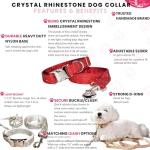 Personalized Red Rhinestone Dog Collar with Leash