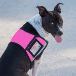 Service Dog Vest with ID Badge and Patch
