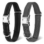 Reflective Dog Collar Straps for Training - 2 Pack