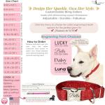 Personalized Red Rhinestone Dog Collar with Leash