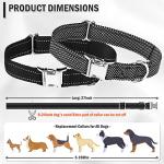 Reflective Dog Collar Straps for Training - 2 Pack