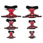 Personalized Dog ID Kit with Vest, Tags, and Leash