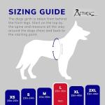 Service Dog Vest Kit with Handle and ID