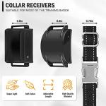 Reflective Dog Collar Straps for Training - 2 Pack