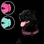 Neoprene Adjustable Dog Collar Set for Large Dogs