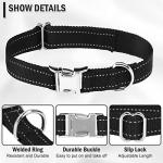 Reflective Dog Collar Straps for Training - 2 Pack