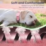 Durable Reflective Dog Collar with AirTag Holder