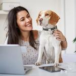 Reflective Dog Collar Straps for Training - 2 Pack