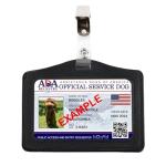 Personalized Dog ID Kit with Vest, Tags, and Leash
