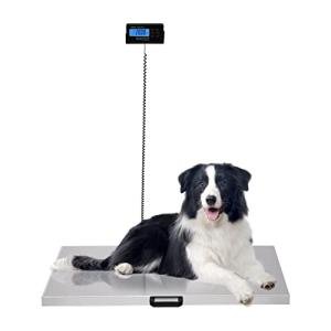 Heavy Duty Digital Scale for Large Dogs