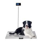 Heavy Duty Digital Scale for Large Dogs