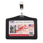 Personalized Dog ID Kit with Vest, Tags, and Leash