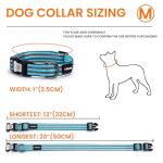 Personalized Reflective Dog Collar with QR Code
