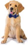 Yizepet Adjustable Bow Tie Dog Collar