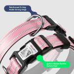 Durable Reflective Dog Collar with AirTag Holder