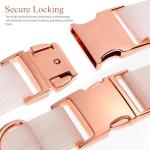 Dog Collar Metal Buckles - Zinc Alloy Replacement Sets