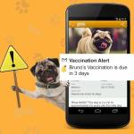 Smart Pet ID Tag with NFC & QR Code