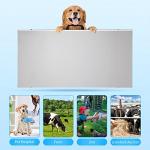 Heavy Duty Digital Scale for Large Dogs