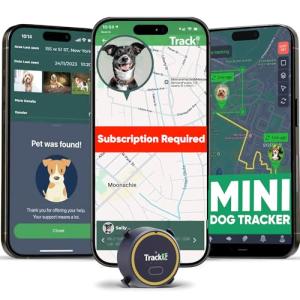 Real-Time GPS Tracker for Dogs with Alerts