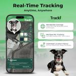 Real-Time GPS Tracker for Dogs with Alerts