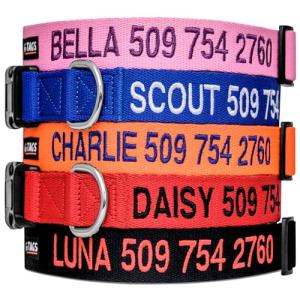 Custom Embroidered Dog Collar with Pet Name