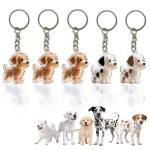 5 Pack Dog Hair Keychain Set - Pet Memorial