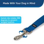 PetSafe Nylon Dog Leash - Durable and Lightweight