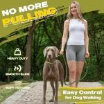 Fida Reflective Slip Lead for Large Dogs