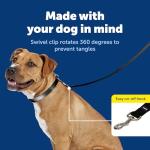 PetSafe Nylon Leash for Secure Walks - Black