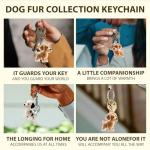 Dog Hair Collector Keychain Keepsake Capsule (2pcs)