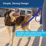 PetSafe Nylon Dog Leash - Durable and Lightweight