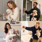 5 Pack Dog Hair Keychain Set - Pet Memorial