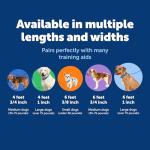 PetSafe Nylon Leash for Secure Walks - Black