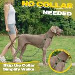Fida Reflective Slip Lead for Large Dogs