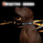 Personalized Reflective Dog Collar with QR Code