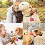 Army Dog Tag Silencer with Bone Paw Pattern