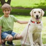 Personalized Silicone Dog Tag Silencers - 6 Pack