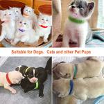 30 Soft Adjustable ID Collars for Puppies