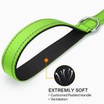 Joytale Reflective Dog Leash with Padded Handle