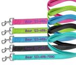 Custom Reflective Dog Leash with Name & Number
