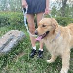 Colorful 5ft Braided Cotton Dog Leash